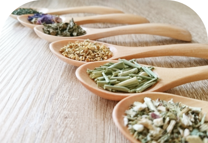 完全無農薬ハーブ